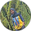 wiwi umar